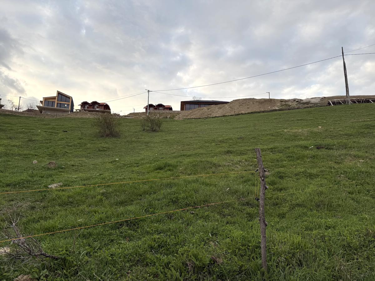 Trešnjik — Starčevica